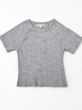 American Eagle Ribbed Floral Baby Tee Crop Top Gray Blue Print Small